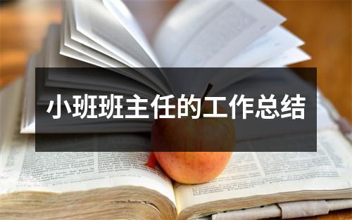 小班班主任的工作总结