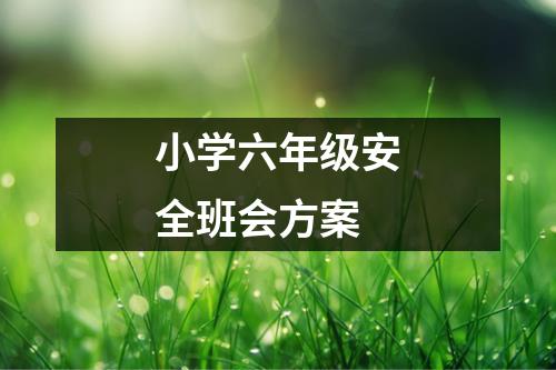 小学六年级安全班会方案