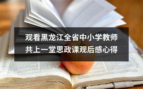 观看黑龙江全省中小学教师共上一堂思政课观后感心得