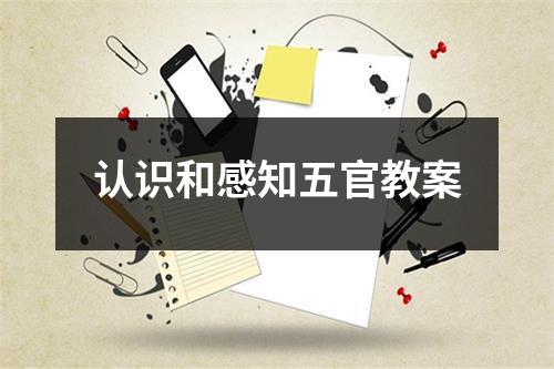 认识和感知五官教案