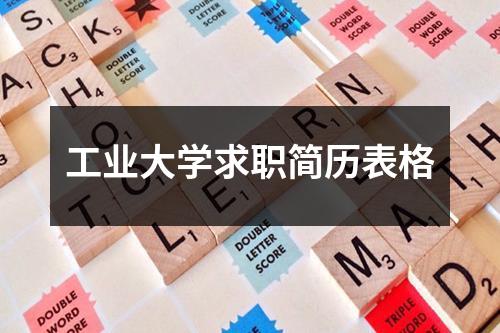 工业大学求职简历表格