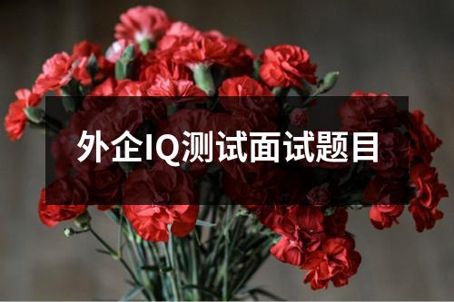 外企IQ测试面试题目