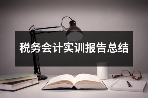 税务会计实训报告总结