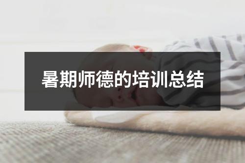 暑期师德的培训总结