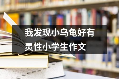 我发现小乌龟好有灵性小学生作文