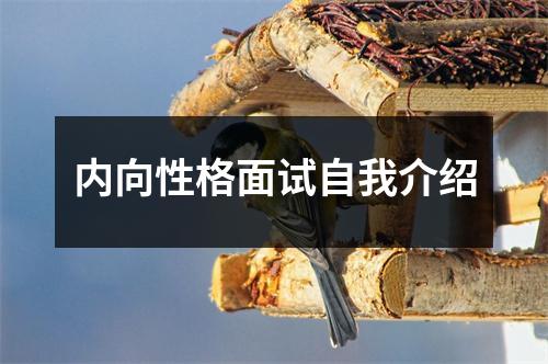 内向性格面试自我介绍