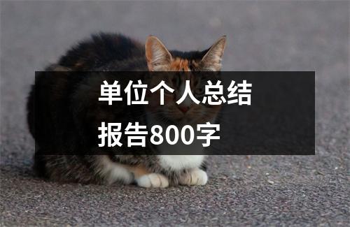 单位个人总结报告800字