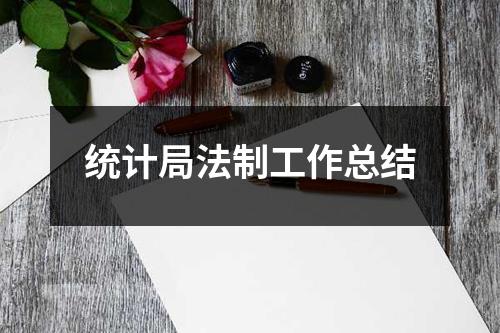 统计局法制工作总结