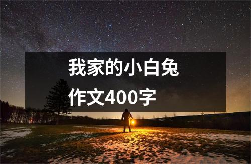 我家的小白兔 作文400字