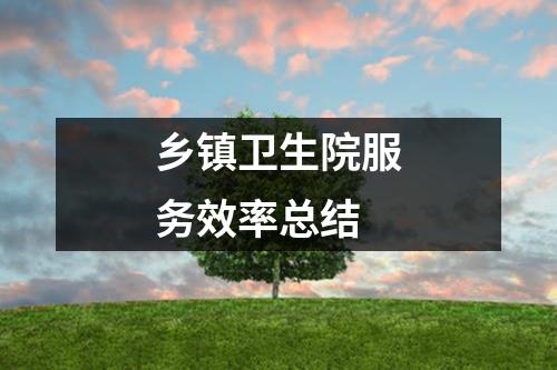 乡镇卫生院服务效率总结