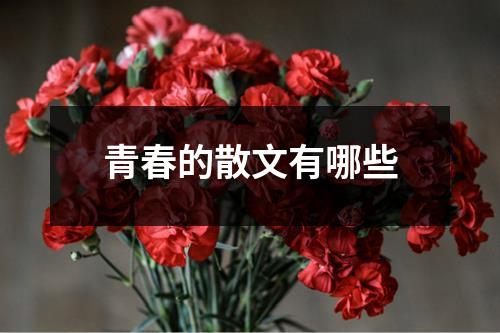 青春的散文有哪些