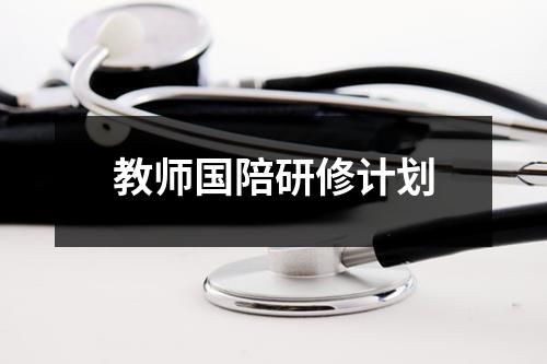 教师国陪研修计划