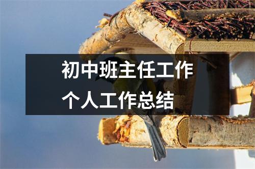 初中班主任工作个人工作总结