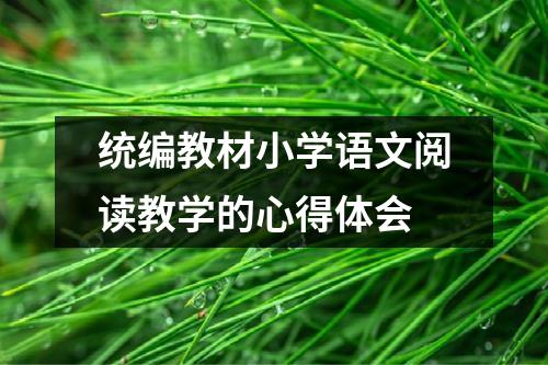 统编教材小学语文阅读教学的心得体会