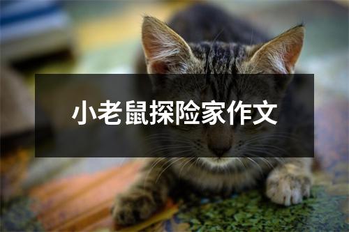 小老鼠探险家作文