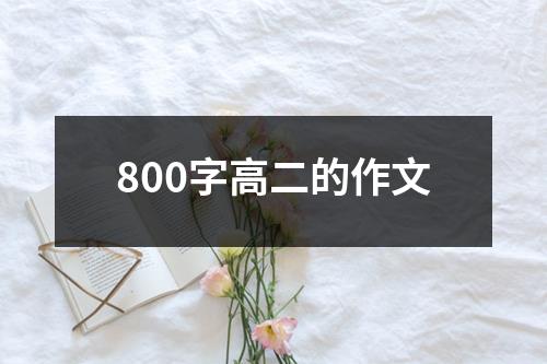 800字高二的作文