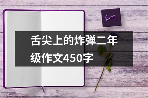 舌尖上的炸弹二年级作文450字