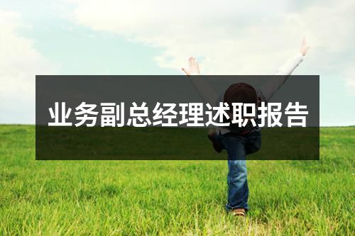 业务副总经理述职报告