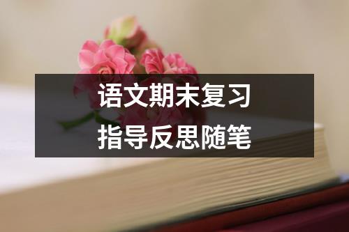 语文期末复习指导反思随笔