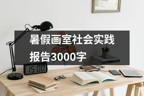 暑假画室社会实践报告3000字