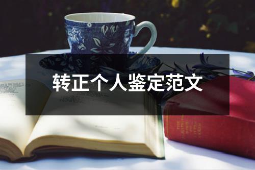 转正个人鉴定范文