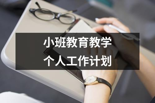 小班教育教学个人工作计划