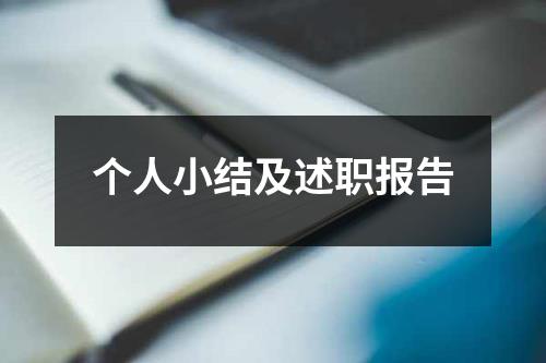 个人小结及述职报告