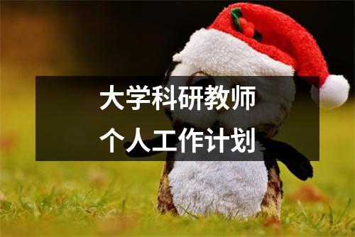 大学科研教师个人工作计划