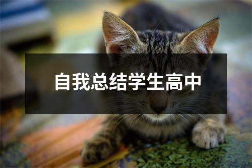 自我总结学生高中