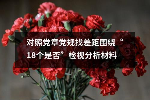 对照党章党规找差距围绕“18个是否”检视分析材料