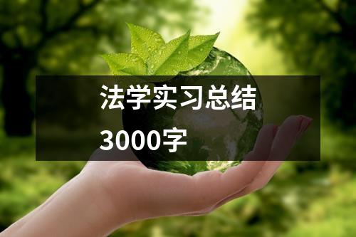 法学实习总结3000字