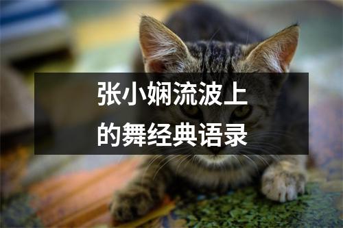 张小娴流波上的舞经典语录