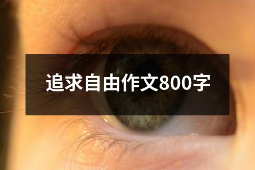 追求自由作文800字