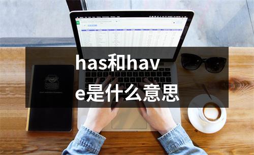 has和have是什么意思