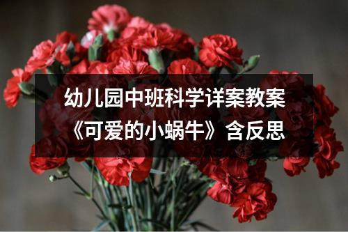 幼儿园中班科学详案教案《可爱的小蜗牛》含反思