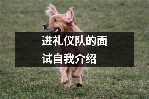 进礼仪队的面试自我介绍