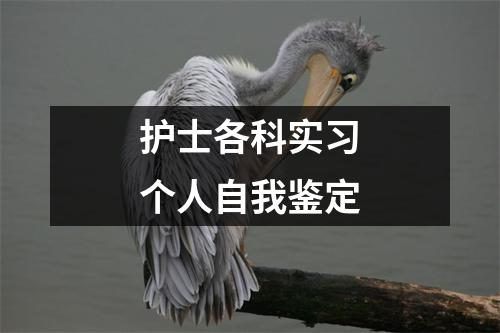 护士各科实习个人自我鉴定