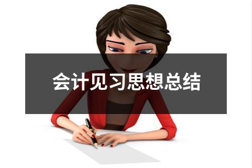 会计见习思想总结