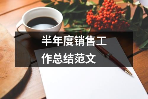 半年度销售工作总结范文