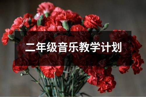 二年级音乐教学计划