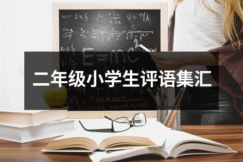 二年级小学生评语集汇