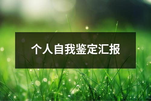 个人自我鉴定汇报