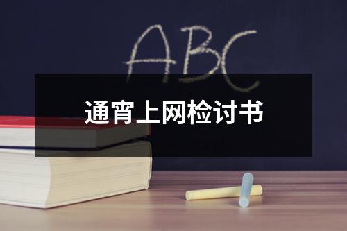 通宵上网检讨书