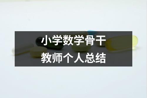 小学数学骨干教师个人总结