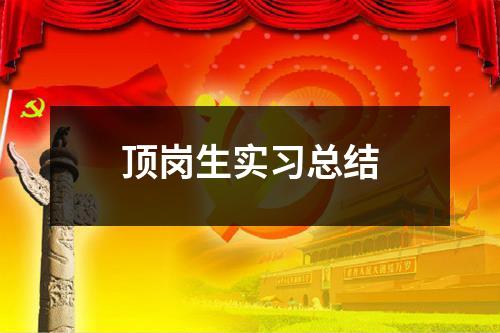 顶岗生实习总结