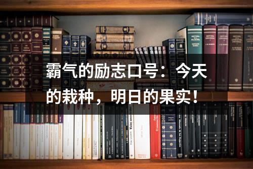 霸气的励志口号：今天的栽种，明日的果实！