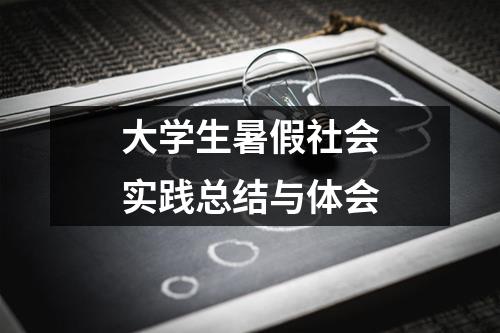 大学生暑假社会实践总结与体会