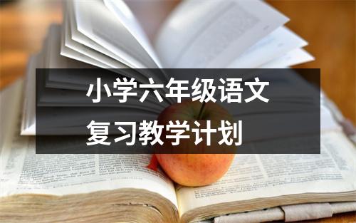 小学六年级语文复习教学计划