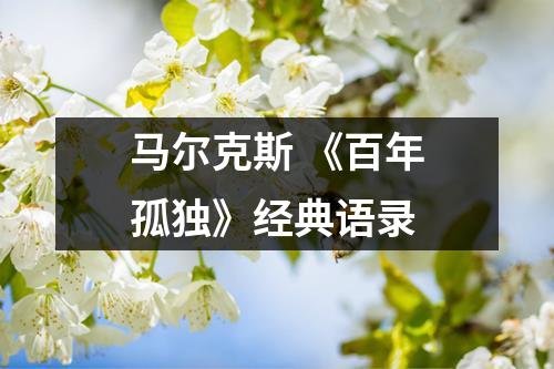 马尔克斯 《百年孤独》经典语录