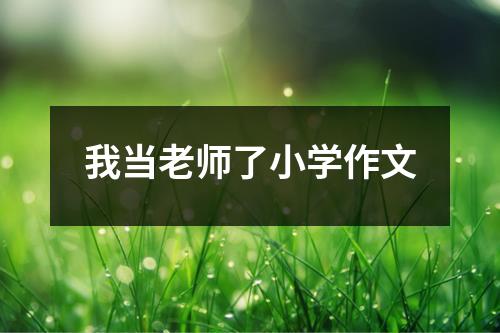 我当老师了小学作文